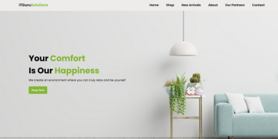 Furniture Shop - Web Development & SEO Case Study by IT Guru Solutions