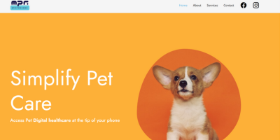 My Pet Records - Web Development & SEO Case Study by IT Guru Solutions